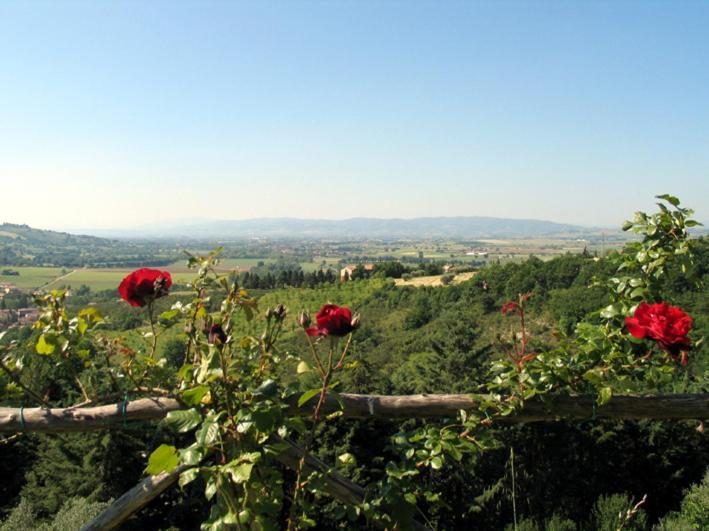 Castel D'Arno Guest House Perugia Exterior photo